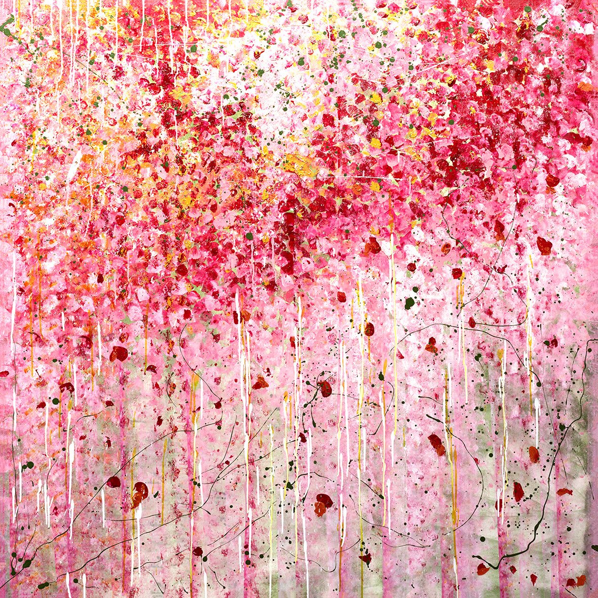 Pink Picket Fence - Fine Art Prints - LIMITED EDITION - Studio One Noosa