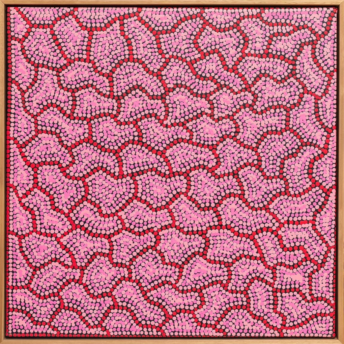 Pink Salt Lake by Stephen Berger - Studio One Noosa