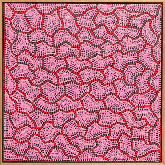 Pink Salt Lake by Stephen Berger - Studio One Noosa
