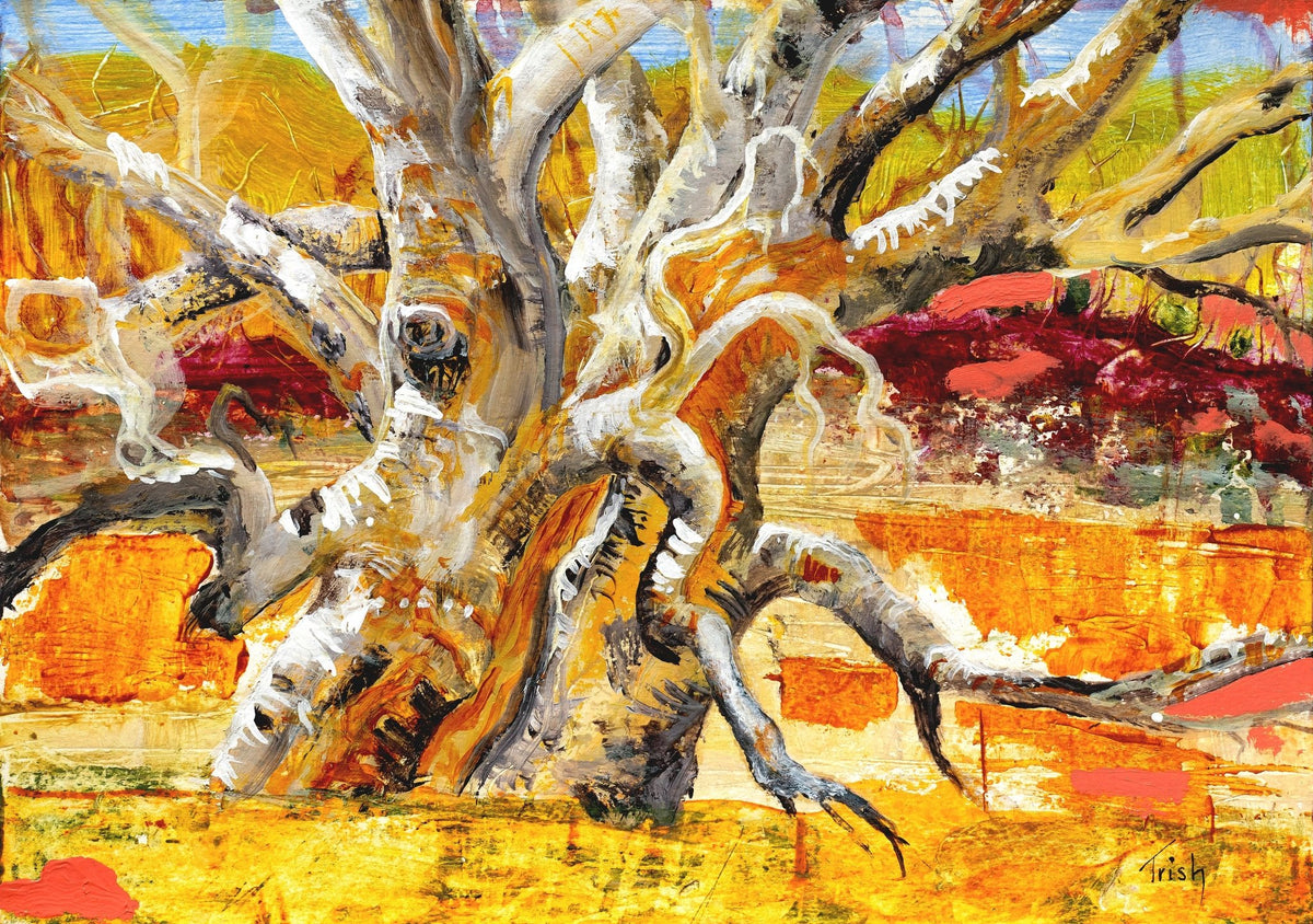 River Gum Tree - Fine Art Print - Studio One Noosa