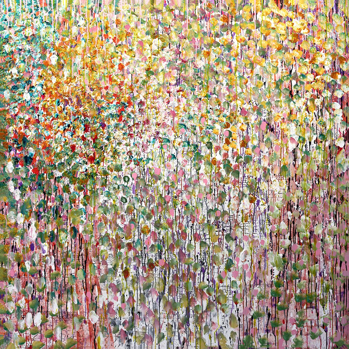 Sweet Peas on a Wire Fence - Fine Art Prints - LIMITED EDITION - Studio One Noosa