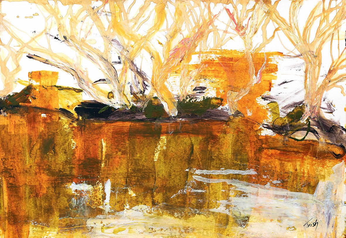 Tranquility on the Paroo - Fine Art Print - Studio One Noosa