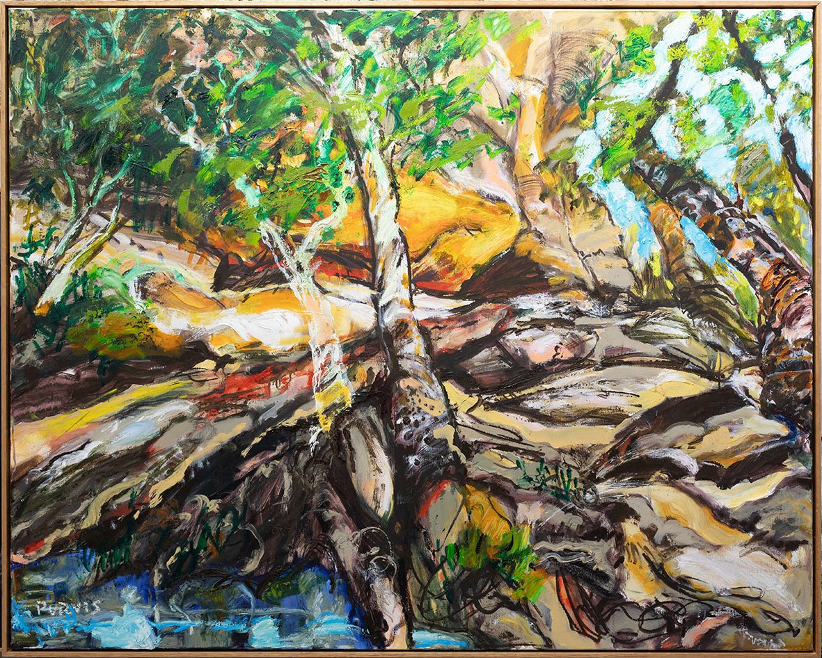 Trevor Purvis - First Walk in Cania Gorge - Studio One Noosa