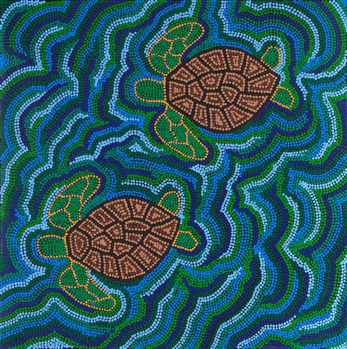 Turtles on Black - Studio One Noosa