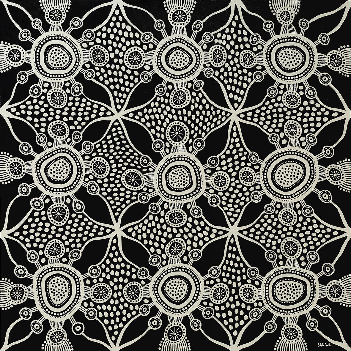 Venus Galaxy - Studio One Noosa