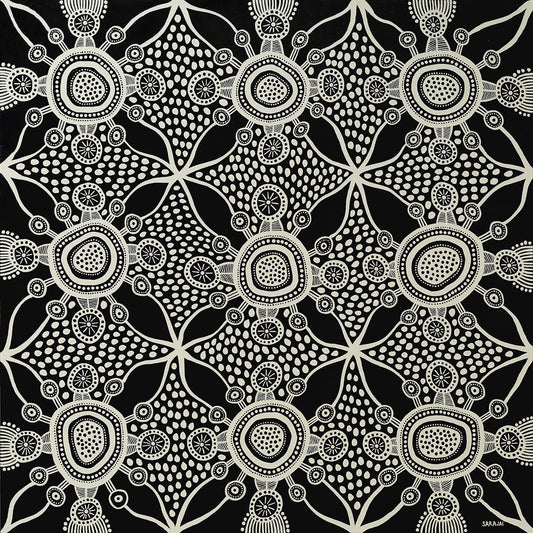 Venus Galaxy - Studio One Noosa