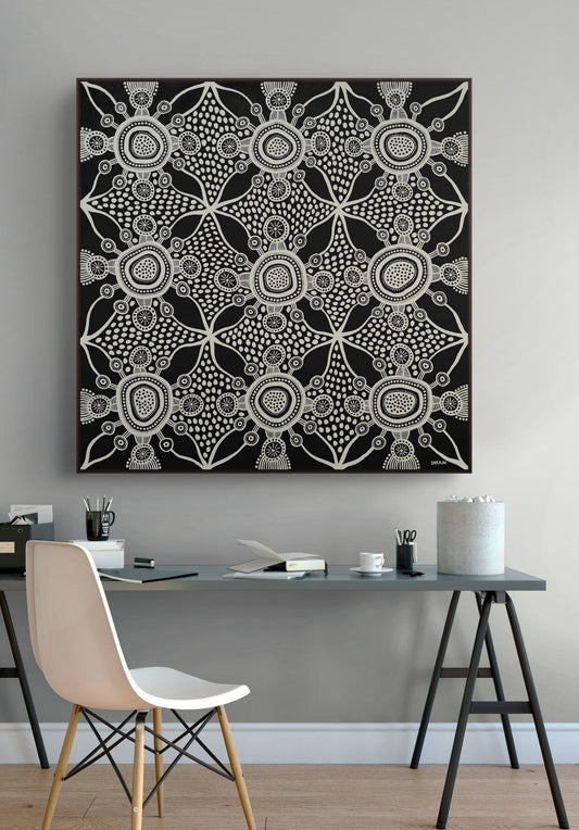 Venus Galaxy - Studio One Noosa