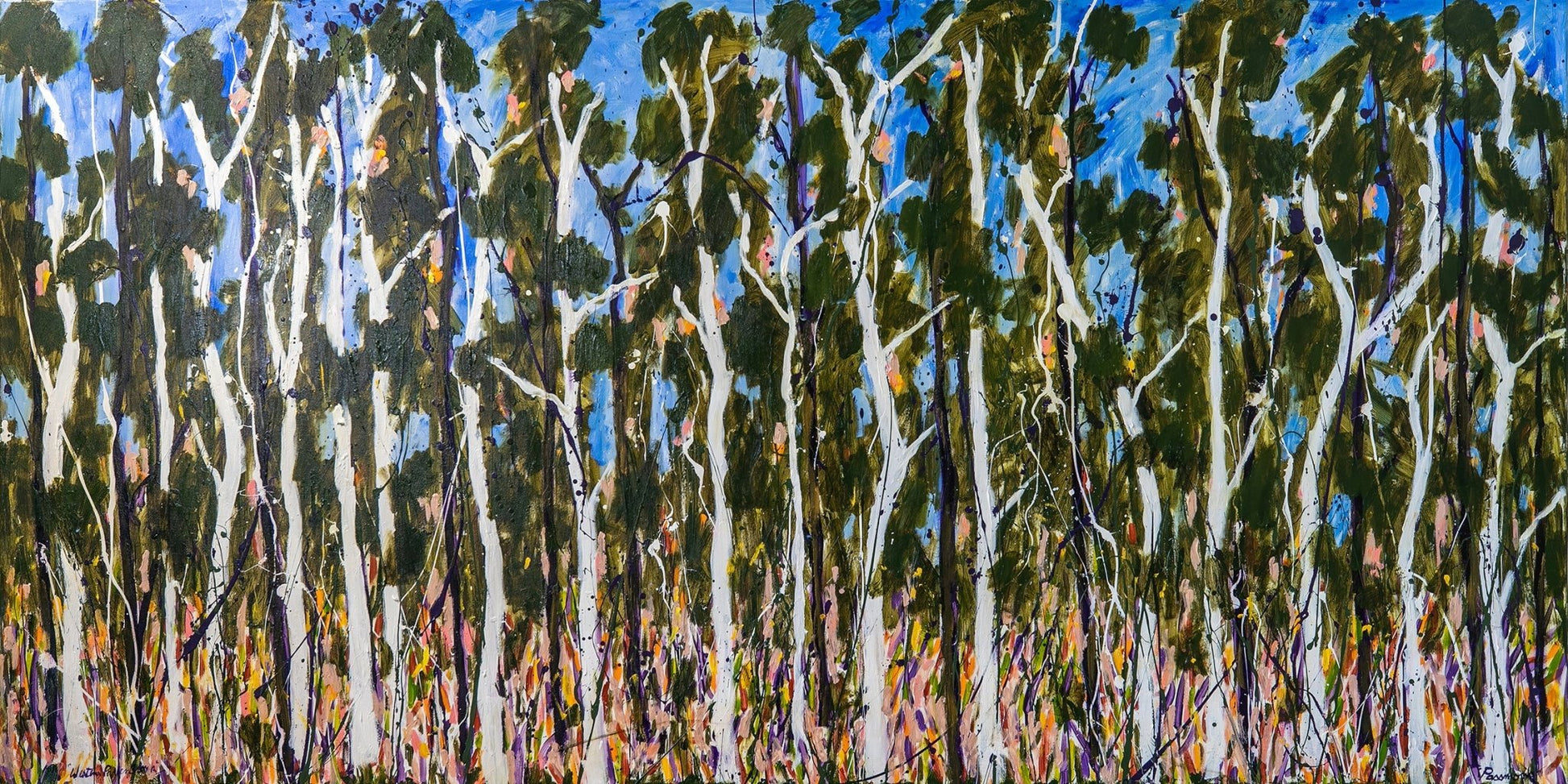 Western Paperbark - Fine Art Prints - LIMITED EDITION - Studio One Noosa