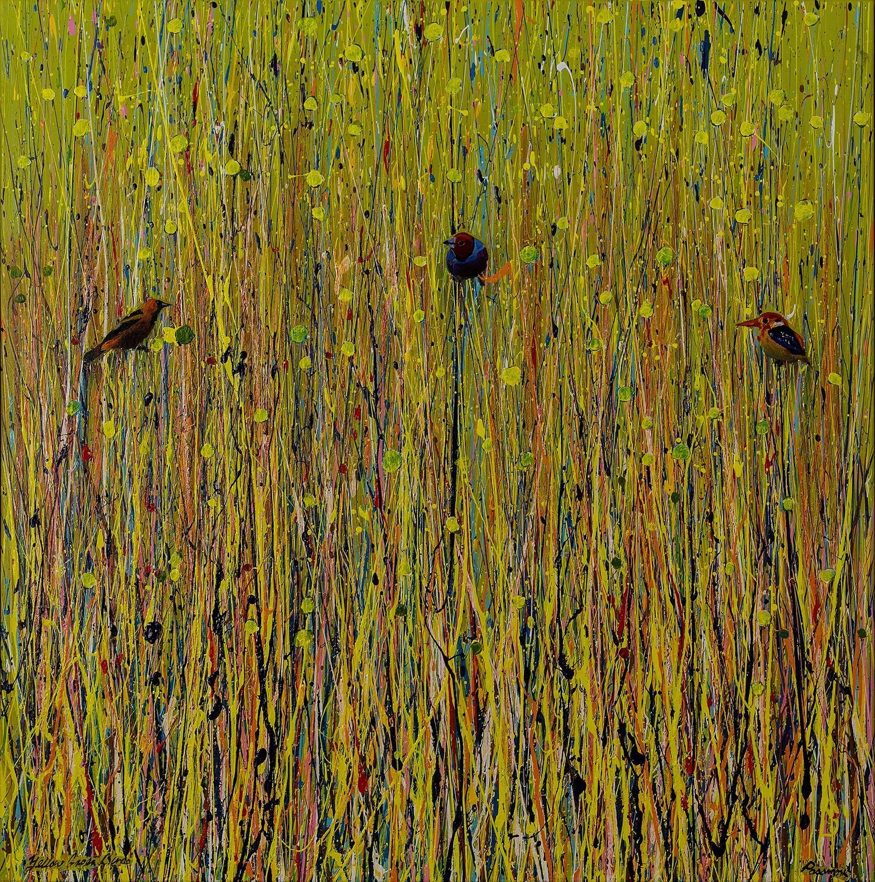 Yellow Grass Birds - Fine Art Prints - LIMITED EDITION - Studio One Noosa