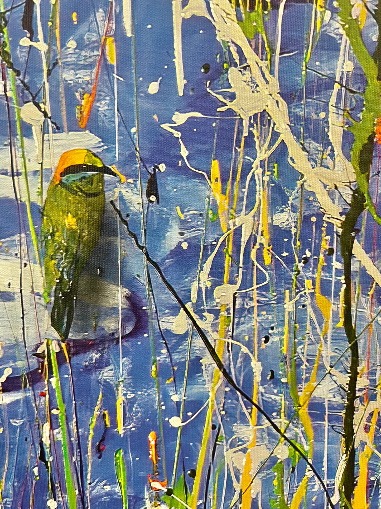 Pond Birds - Fine Art Prints - LIMITED EDITION